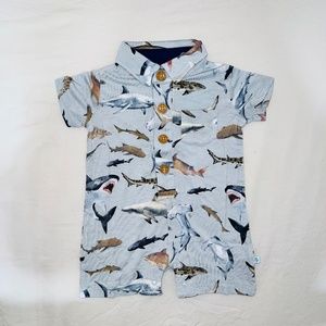 Collared sharks shortall